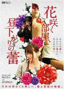 雾港谜案电影封面